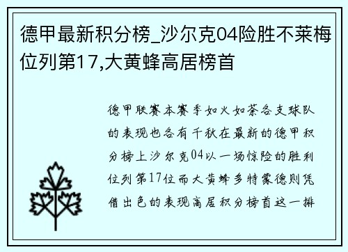 德甲最新积分榜_沙尔克04险胜不莱梅位列第17,大黄蜂高居榜首